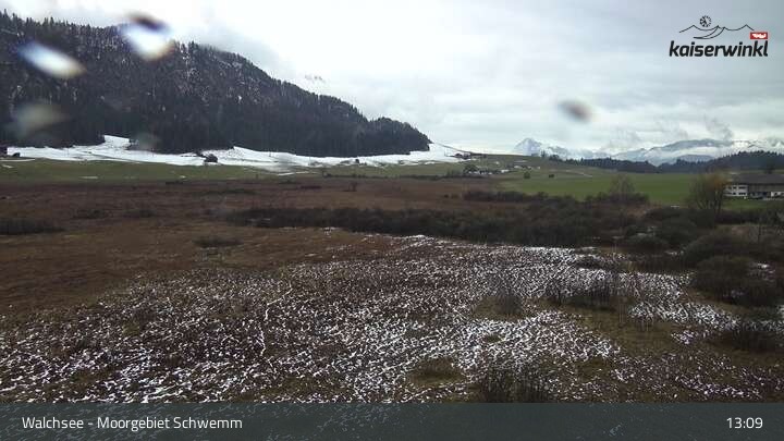 Archived image Webcam Schwemm Moorland by Lake Walchsee