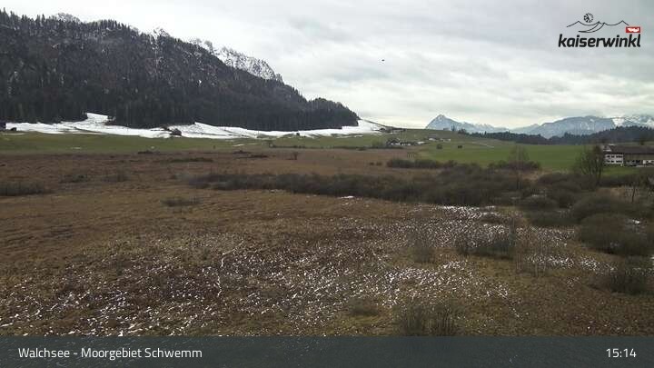 Archived image Webcam Schwemm Moorland by Lake Walchsee