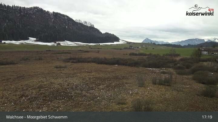 Archived image Webcam Schwemm Moorland by Lake Walchsee