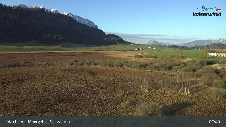 Archiv Foto Webcam Moorgebiet Schwemm am Walchsee