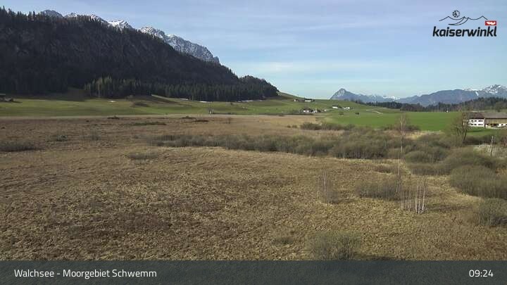 Archived image Webcam Schwemm Moorland by Lake Walchsee