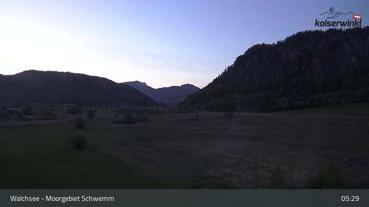 Archiv Foto Webcam Moorgebiet Schwemm am Walchsee