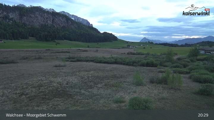 Archived image Webcam Schwemm Moorland by Lake Walchsee