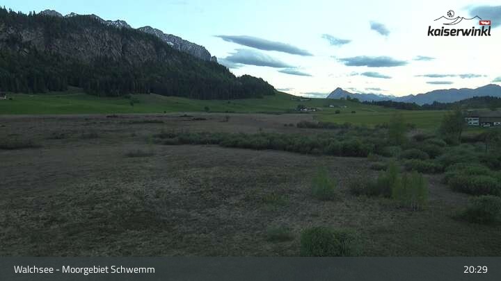 Archived image Webcam Schwemm Moorland by Lake Walchsee