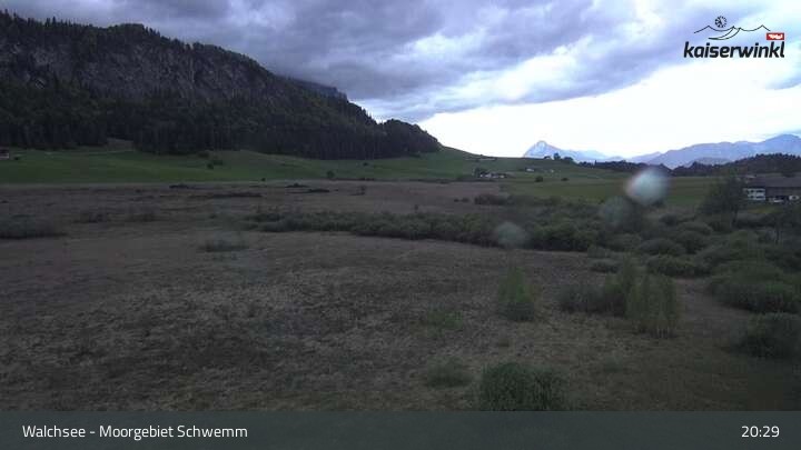 Archiv Foto Webcam Moorgebiet Schwemm am Walchsee
