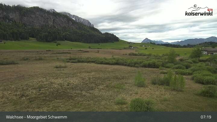 Archiv Foto Webcam Moorgebiet Schwemm am Walchsee