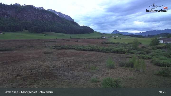 Archiv Foto Webcam Moorgebiet Schwemm am Walchsee