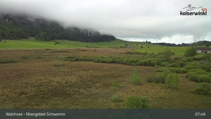 Archiv Foto Webcam Moorgebiet Schwemm am Walchsee