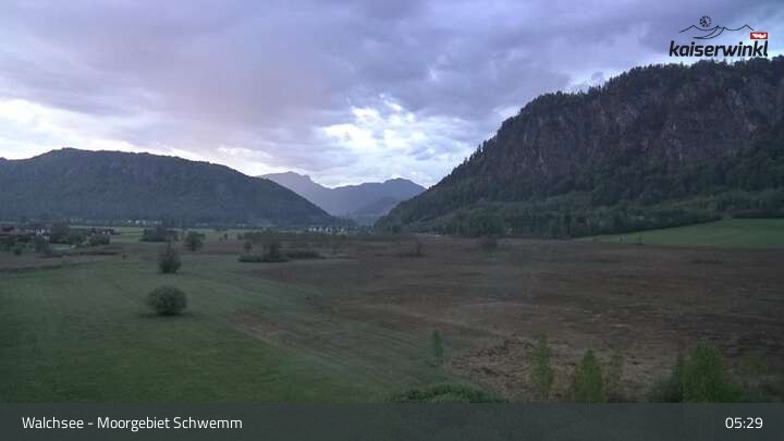 Archiv Foto Webcam Moorgebiet Schwemm am Walchsee