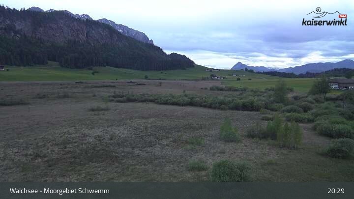 Archiv Foto Webcam Moorgebiet Schwemm am Walchsee
