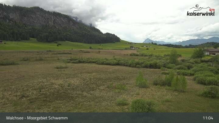 Archiv Foto Webcam Moorgebiet Schwemm am Walchsee
