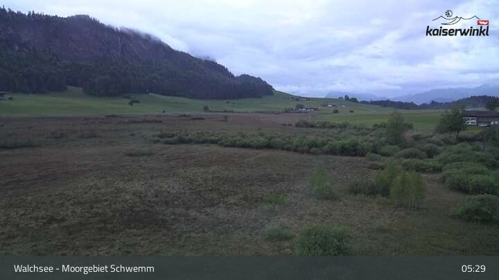 Archiv Foto Webcam Moorgebiet Schwemm am Walchsee