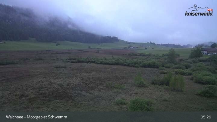 Archiv Foto Webcam Moorgebiet Schwemm am Walchsee