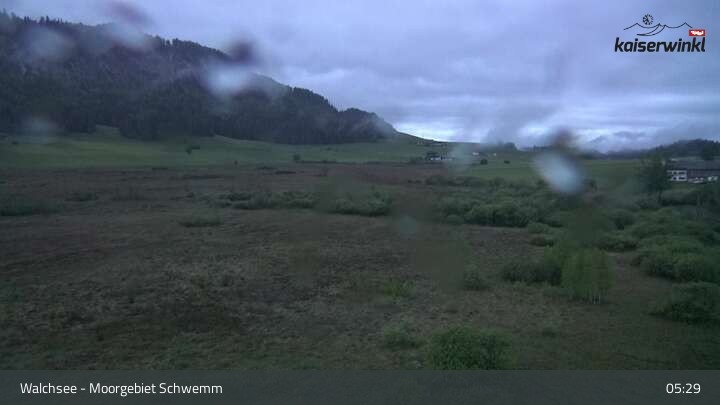 Archiv Foto Webcam Moorgebiet Schwemm am Walchsee