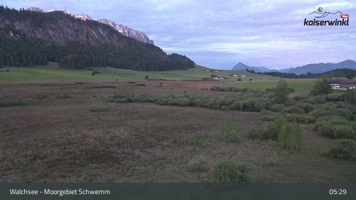 Archiv Foto Webcam Moorgebiet Schwemm am Walchsee
