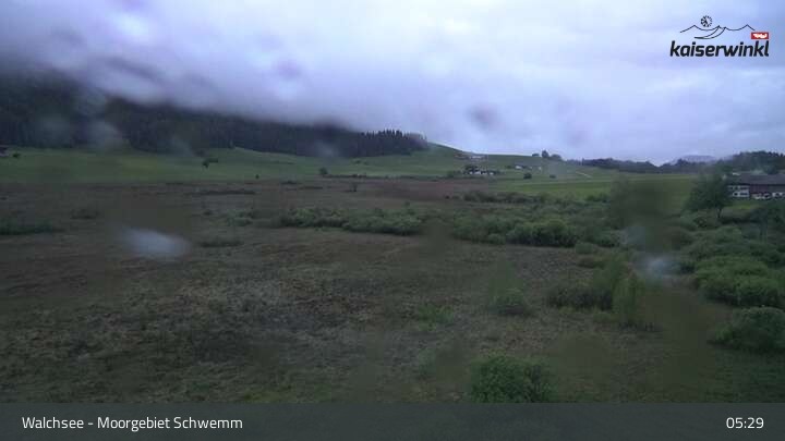 Archiv Foto Webcam Moorgebiet Schwemm am Walchsee