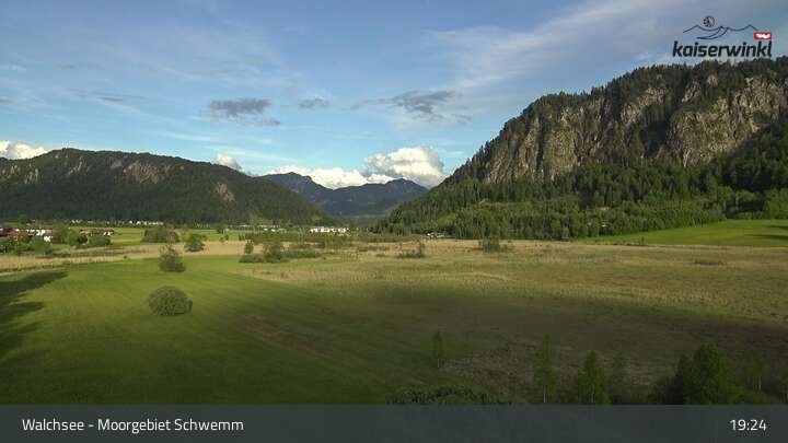 Archiv Foto Webcam Moorgebiet Schwemm am Walchsee