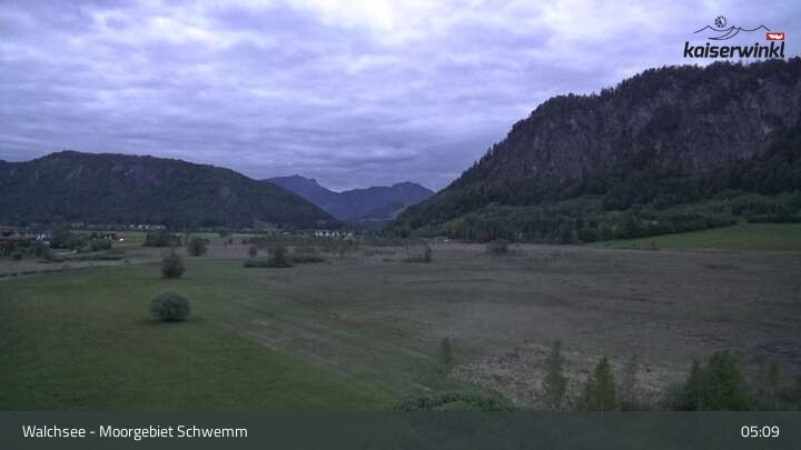 Archiv Foto Webcam Moorgebiet Schwemm am Walchsee