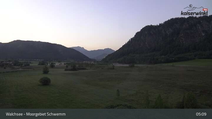 Archiv Foto Webcam Moorgebiet Schwemm am Walchsee