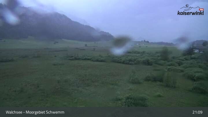 Archiv Foto Webcam Moorgebiet Schwemm am Walchsee