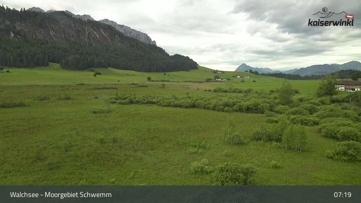 Archiv Foto Webcam Moorgebiet Schwemm am Walchsee