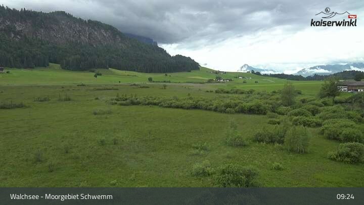 Archiv Foto Webcam Moorgebiet Schwemm am Walchsee