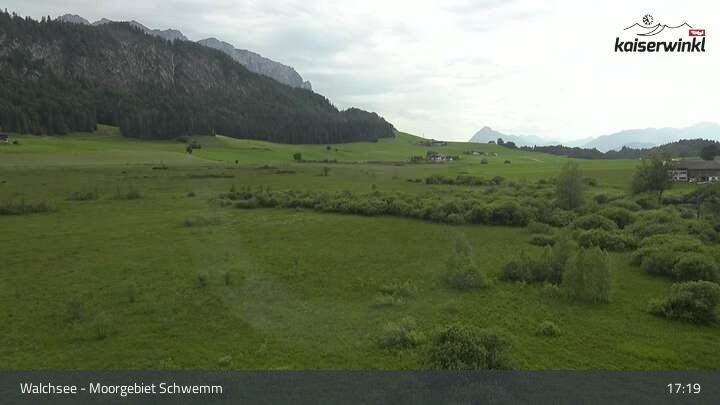 Archiv Foto Webcam Moorgebiet Schwemm am Walchsee