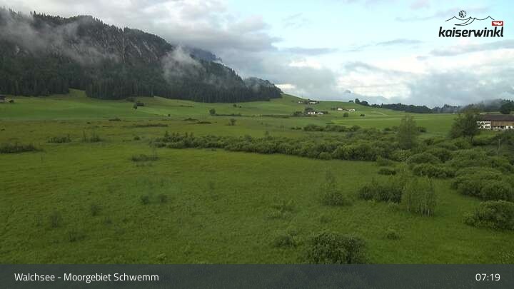 Archiv Foto Webcam Moorgebiet Schwemm am Walchsee