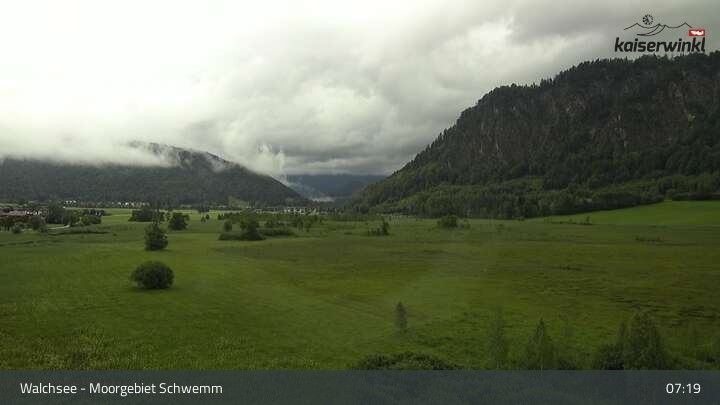 Archiv Foto Webcam Moorgebiet Schwemm am Walchsee