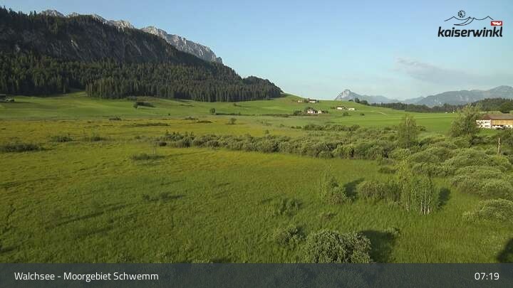 Archiv Foto Webcam Moorgebiet Schwemm am Walchsee