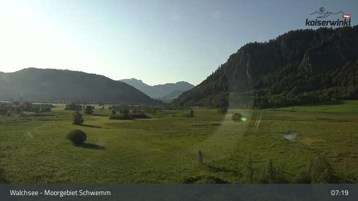 Archiv Foto Webcam Moorgebiet Schwemm am Walchsee