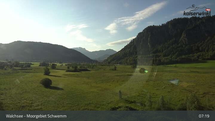 Archiv Foto Webcam Moorgebiet Schwemm am Walchsee