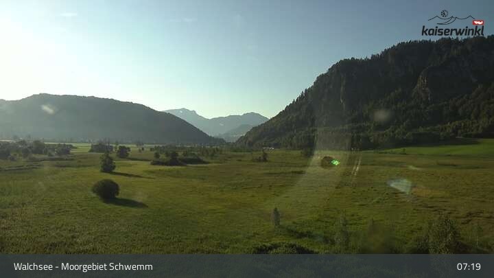 Archiv Foto Webcam Moorgebiet Schwemm am Walchsee