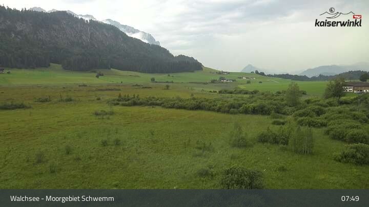 Archiv Foto Webcam Moorgebiet Schwemm am Walchsee