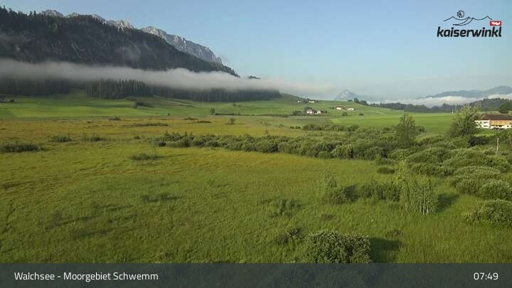 Archiv Foto Webcam Moorgebiet Schwemm am Walchsee