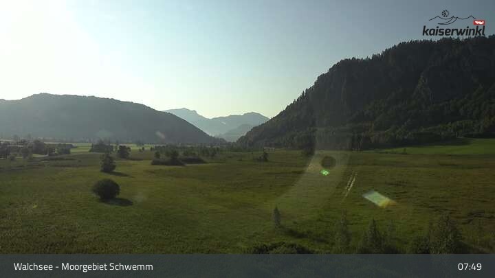 Archiv Foto Webcam Moorgebiet Schwemm am Walchsee