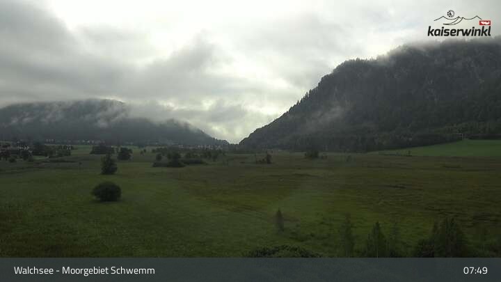 Archiv Foto Webcam Moorgebiet Schwemm am Walchsee