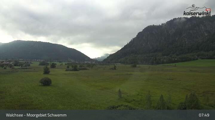 Archiv Foto Webcam Moorgebiet Schwemm am Walchsee