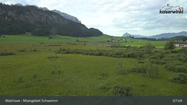 Archiv Foto Webcam Moorgebiet Schwemm am Walchsee
