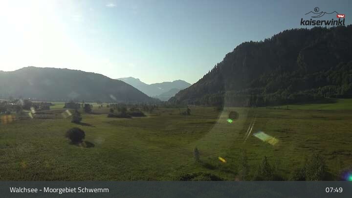 Archiv Foto Webcam Moorgebiet Schwemm am Walchsee