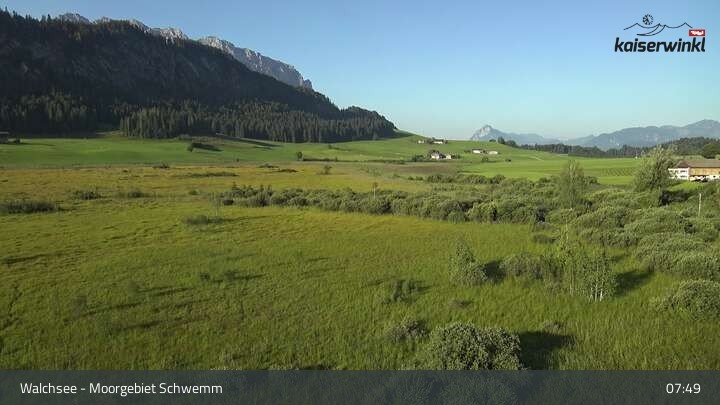 Archiv Foto Webcam Moorgebiet Schwemm am Walchsee