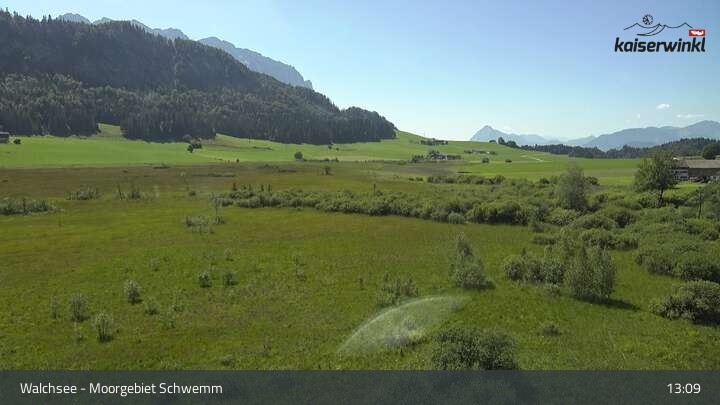 Archiv Foto Webcam Moorgebiet Schwemm am Walchsee