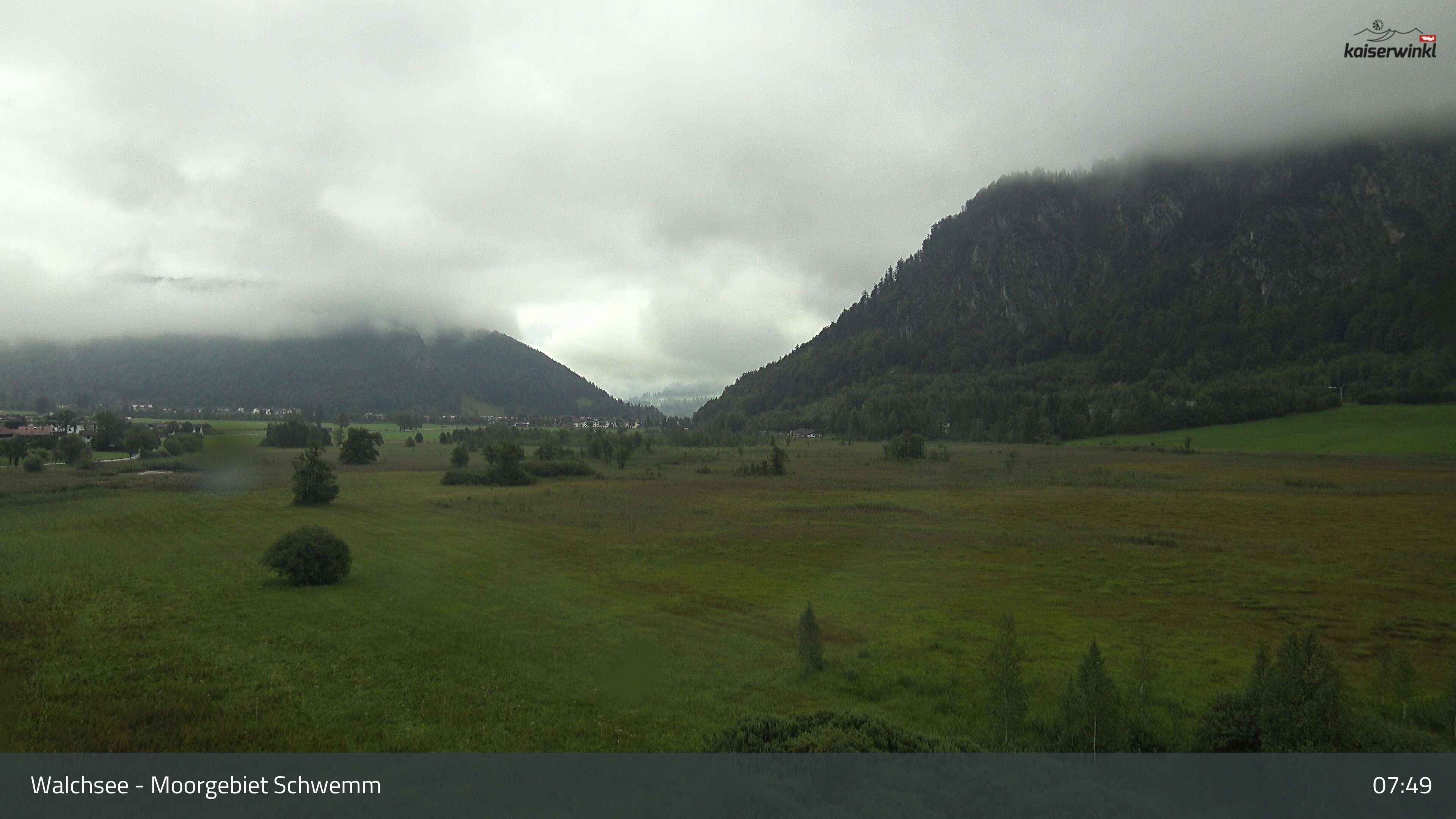 Archiv Foto Webcam Moorgebiet Schwemm am Walchsee