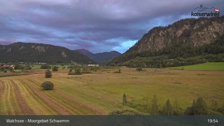 Archiv Foto Webcam Moorgebiet Schwemm am Walchsee