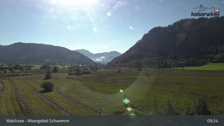 Archiv Foto Webcam Moorgebiet Schwemm am Walchsee