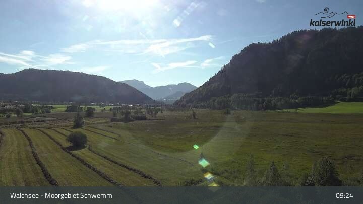 Archived image Webcam Schwemm Moorland by Lake Walchsee