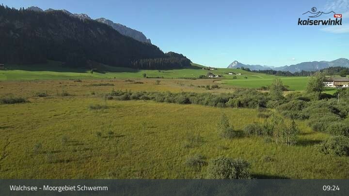 Archiv Foto Webcam Moorgebiet Schwemm am Walchsee