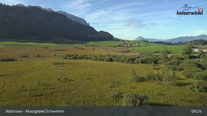 Archived image Webcam Schwemm Moorland by Lake Walchsee
