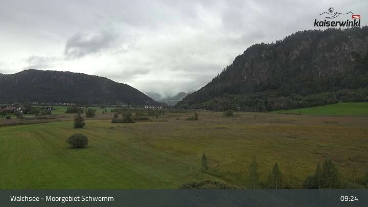 Archiv Foto Webcam Moorgebiet Schwemm am Walchsee