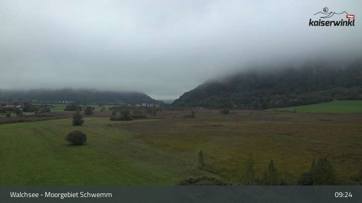 Archiv Foto Webcam Moorgebiet Schwemm am Walchsee